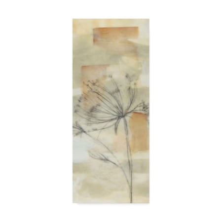 Jennifer Goldberger 'Neutral Lace Ii' Canvas Art,10x24